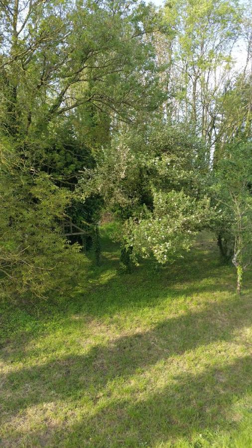 Apartmán Aux Nobles Acacias Épagne-Épagnette Exteriér fotografie